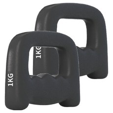 HOME GYM CLUB 居家健身 拳擊啞鈴 1kg 2個, 黑色, FB026