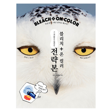 Bleach On Cclor 漂色攻略本：那個顏色你也能做到!, 夢想書狂熱, 齋藤剛 等