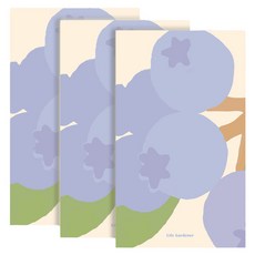페이퍼리안 라이프가드너 메모패드 60 x 100 mm, 블루베리, 3개, 100매