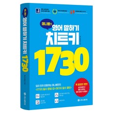 데니쌤의 영어 말하기 치트키 1730:입이 먼저 반응하는 데니쌤만의 <17가지 필수 문법>과 <30가지 필수 패턴>, 시원스쿨닷컴