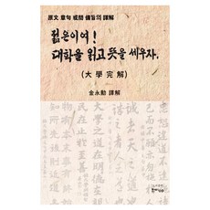 年輕人啊! 讀大學 立定志向吧, 金永勳, 한비CO