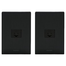 nano 電氣 Art2 Simple 單孔用 8P 嵌入式模組 全黑, 2個