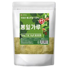 건강중심 뽕잎 분말 가루, 500g, 1개