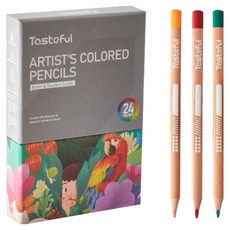 Sina Art 優質專家用Jumbo油性色鉛筆 T1062, 1個, 24色