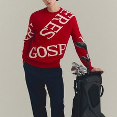 Gospheres 男款 BIG LOGO 防風毛衣 PM2WNT45