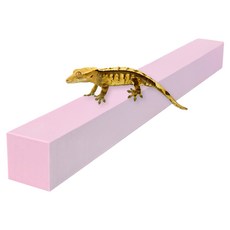 레몽크리프 도마뱀 파충류 크레스티드게코 EVA 고밀도백업 3 x 3 x 50 cm, 베이비핑크, 1개