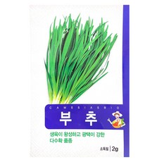 참씨앗 부추 씨앗, 1개