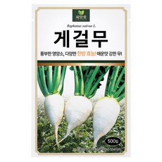 다농 씨앗애 게걸무 씨앗 500p, 1개