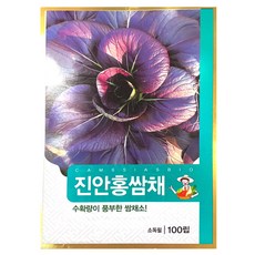 진안홍 쌈채 씨앗, 진안홍쌈채