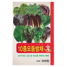10종 모듬 쌈채소 씨앗, 1개