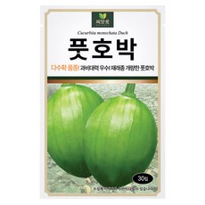 다농 씨앗애 풋호박 씨앗 30p, 1개 1개