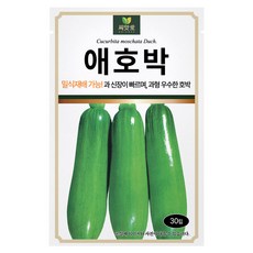 다농 씨앗애 애호박 씨앗 30립, 1개