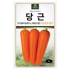 다농 씨앗애 당근 씨앗 4g, 1개