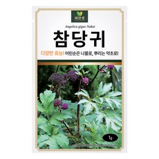 다농 씨앗애 참당귀 씨앗 1g, 1개