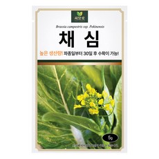 다농 씨앗애 채심 씨앗 5g, 1개
