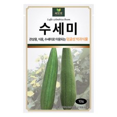 다농 씨앗애 수세미 씨앗 10립, 1개