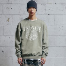 VISION STREET WEAR 男女通用 Visionary Pigment Crewneck 大學T VS2501CR01