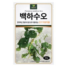 다농 씨앗애 백하수오 씨앗 50립, 1개