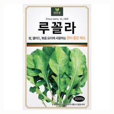 다농 씨앗애 루꼴라 씨앗 3000p, 1개
