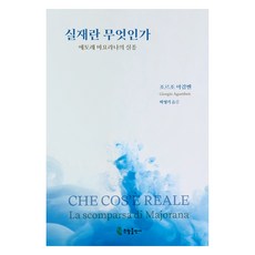 Nonbat Publishing 何謂真實, 喬治·阿岡本