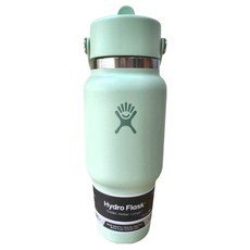 Hydro Flask 提環吸管隨行杯 24oz, 1個, 709ml, 蘆薈綠