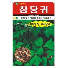 아람종묘 참당귀200립 씨앗, 1개