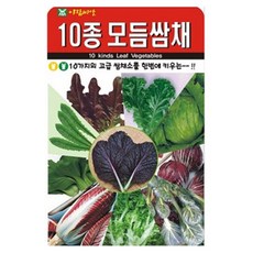 아람종묘 아람10종쌈채 씨앗 1000립, 1개