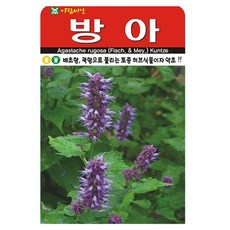 아람종묘 방아 씨앗 1000립, 1개