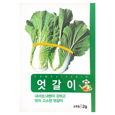 엇갈이배추 씨앗, 1개