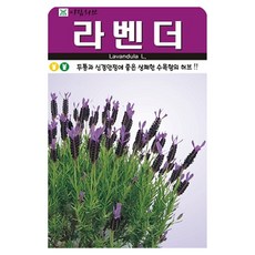 아람종묘 허브 라벤더 씨앗 100립, 1개