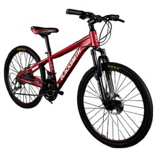 블랙스미스자전거 페트론 5세대 자전거 60.96cm 방문설치, 매트레드, 160cm, 1개