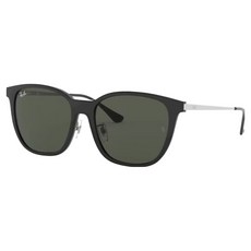 Ray-Ban 雷朋 膠框太陽眼鏡 RB4333D-629271