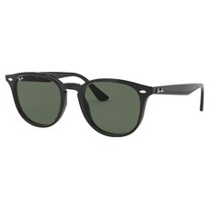 Ray Ban 雷朋膠框太陽眼鏡 RB4259F-601/71