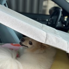 hitzzi 狗狗遮陽罩 適用所有汽車座椅, 1個, 棕色