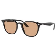 Ray Ban 雷朋膠框太陽眼鏡 RB4258F-601/93