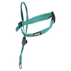 와일드독 강아지 앞섬방지 훈련용 젠틀리더 목줄, 블루그린, 1개