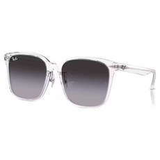 Ray-Ban 雷朋 膠框太陽眼鏡 RB2206D-64478G