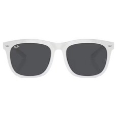 Ray-Ban 雷朋 膠框太陽眼鏡 RB4260D-671/87