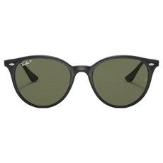 Ray-Ban 雷朋 膠框太陽眼鏡 偏光鏡片 RB4305F-601/9A