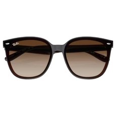 Ray-Ban 雷朋 膠框太陽眼鏡 漸層鏡片 RB4423D-714/13