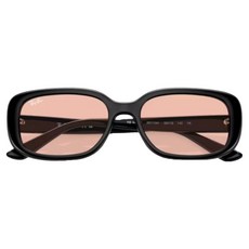 Ray-Ban 雷朋 膠框太陽眼鏡 RB4421D-667784