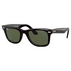 Ray-Ban 雷朋 膠框太陽眼鏡 RB2140F-90252