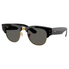 Ray-Ban 雷朋 膠框太陽眼鏡 RB0316S-6826J5