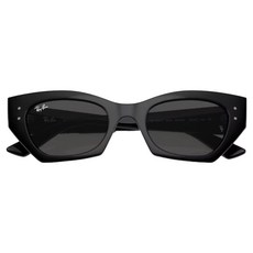 Ray-Ban 雷朋 膠框太陽眼鏡 RB4430F-667787
