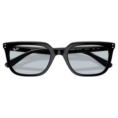 Ray-Ban 雷朋 膠框太陽眼鏡 RB4439D-901/72