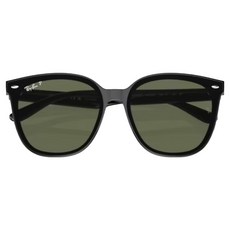 Ray-Ban 雷朋 膠框太陽眼鏡 偏光鏡片 RB4423D-601/9A
