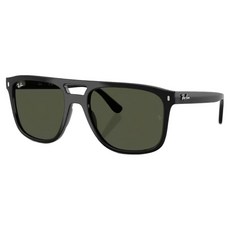 Ray-Ban 雷朋 膠框太陽眼鏡 RB2213-901/31