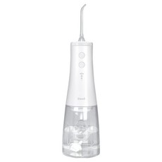 디웰 아쿠아젯 구강세정기, CWP-1102