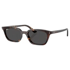 Ray-Ban 雷朋 膠框太陽眼鏡 RB4456F-135987