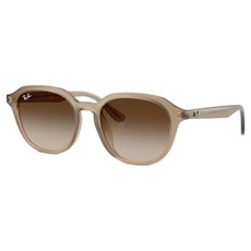 Ray-Ban 雷朋 膠框太陽眼鏡 漸層鏡片 RB4459D-616613